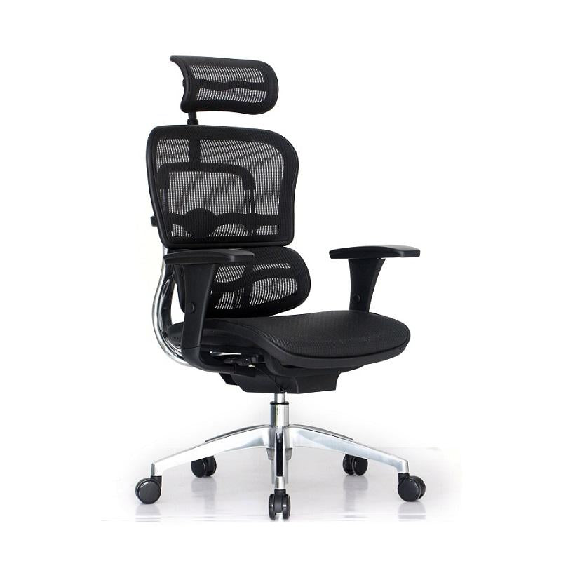 Ergohuman Pro Black Mesh Chair