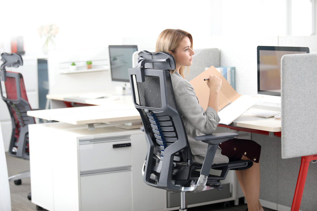 Why invest in Ergonomic Ergohuman chairs?