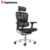 Ergohuman Elite 2 Full Mesh Ergonomic Chair Without Legrest