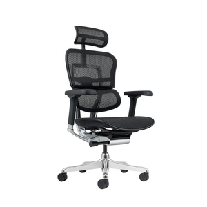 Ergohuman Elite 2 Full Mesh Ergonomic Chair Without Legrest (10 Years Limited Warranty)