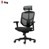 Ergohuman Enjoy Classic 2 Fabric Seat Mesh Back Ergonomic Chair with Headrest (3 Years Limited Warranty)