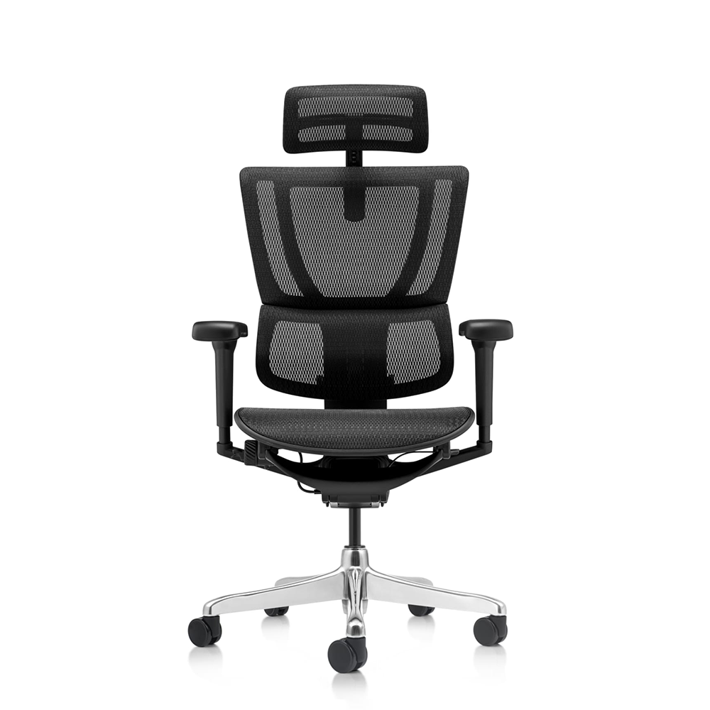 Ergohuman IOO Ultra Ergonomic Office Chair