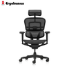 Ergohuman Ultra Black Frame Full Mesh Ergonomic Chair (5 Years Limited Warranty)