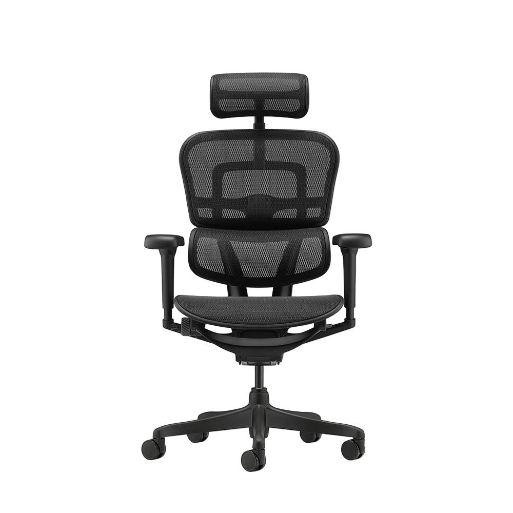 Ergohuman Ultra Black Frame Full Mesh Ergonomic Chair (5 Years Limited ...