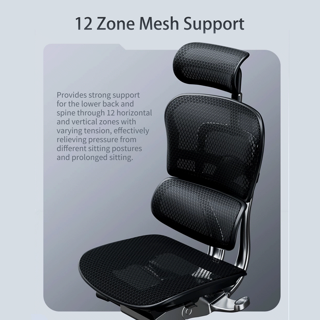 Ergohuman Elite – Premium Ergonomic Mesh Chair with 5D Armrests
