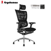 Ergohuman IOO 3D Headrest Ergonomic Full Mesh Chair