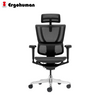 Ergohuman IOO Ultra Ergonomic Office Chair