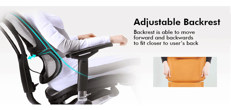 Ergohuman fit ioo review shop