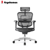 Ergohuman Pro 2 Ergonomic Chair without legrest