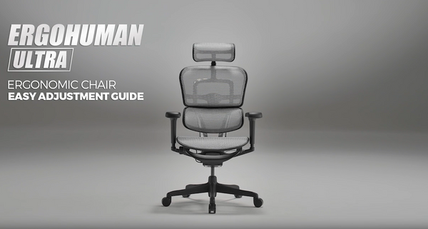 Ergohuman Ultra Full Mesh Ergonomic Chair Full Matte Black