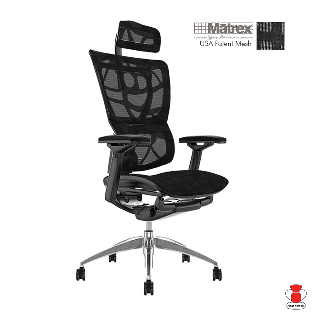 Ergohuman IOO Multi Direction Headrest Ergonomic Full Mesh Chair