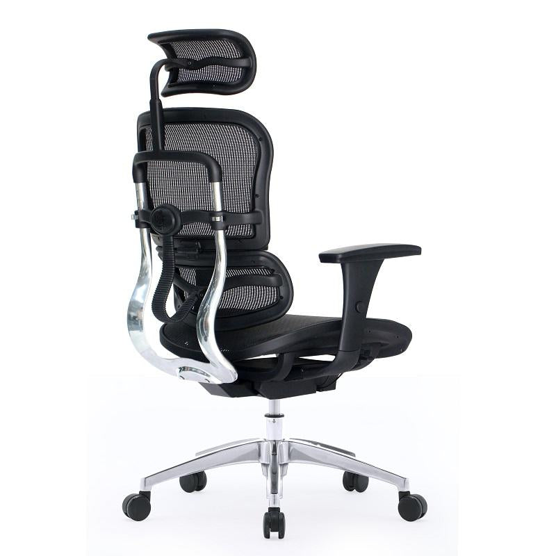 Ergohuman Pro Black Mesh Chair